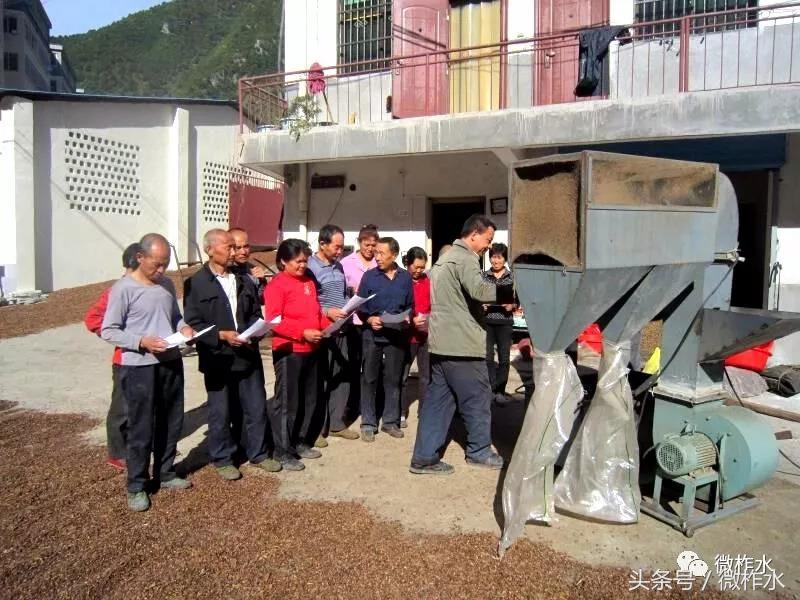 柞水县实现脱贫致富的经验有哪些,柞水脱贫致富干实事