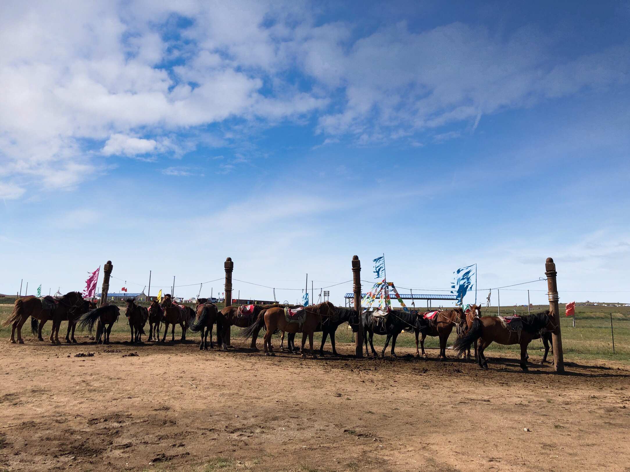 内蒙希拉穆仁草原好玩,包头希拉穆仁草原风景