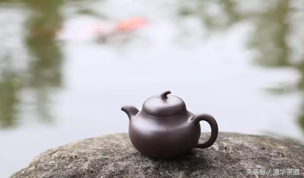 紫砂壶茶友日常泡茶,资深茶友紫砂壶