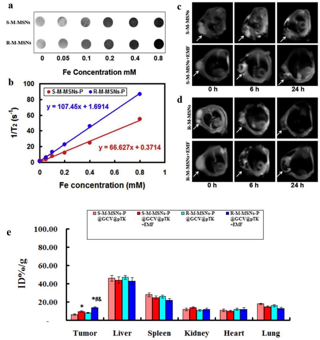 肝癌免疫治疗及基因治疗进展,肝癌基因检测靶向治疗