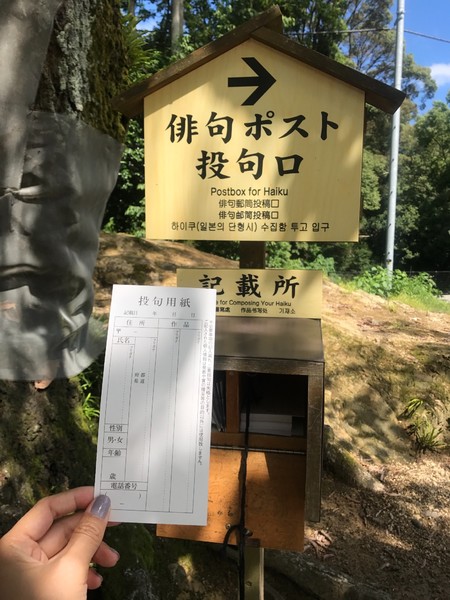 少女心必去的地方,少女心旅游必去的地方