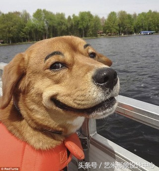 还在为如何漂亮烦恼？或许这篇文章对你有所启发