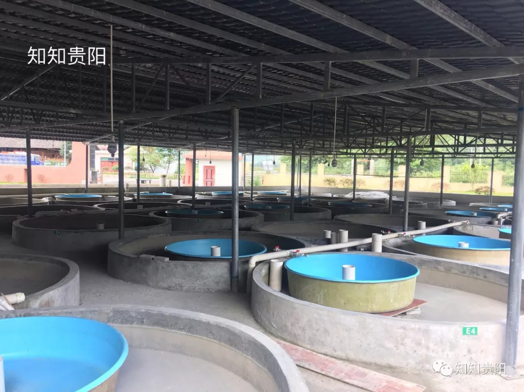 姊靛噣灞辩湅鍒版按涓椿鍖栫煶,鐭ョ煡璐靛窞