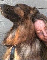 在外威风八面在家脾气全无,在外面有多威武在家就有多怂