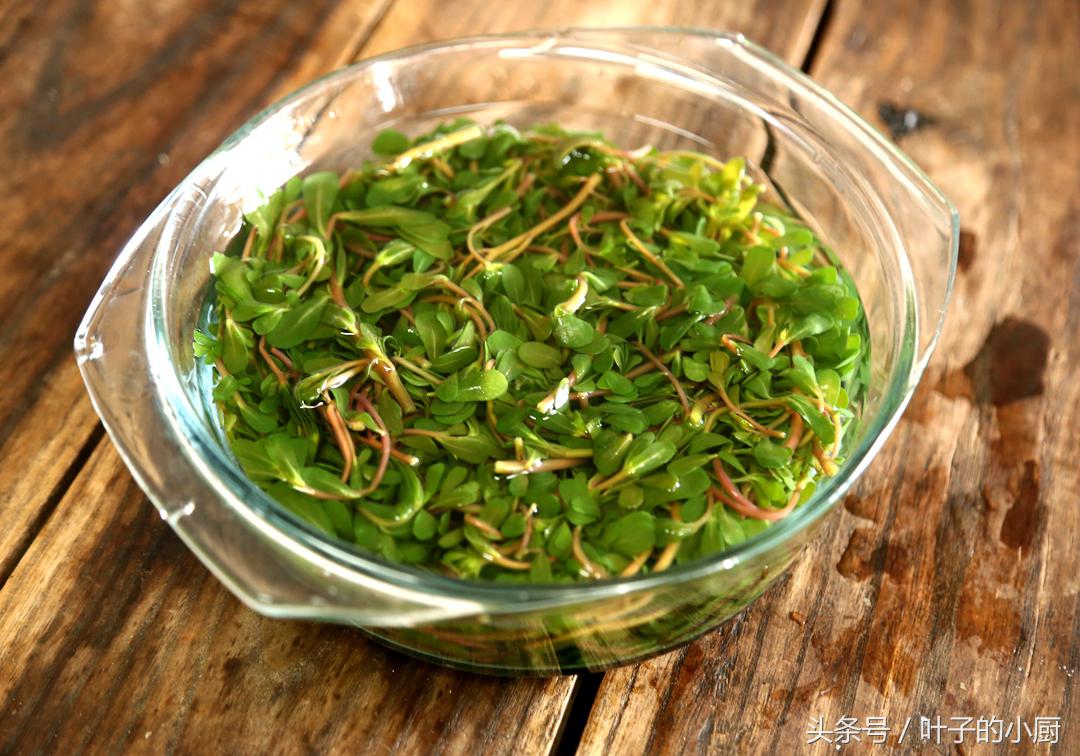 北京菜价涨得吓人，油麦菜都9.9元了！这个不花钱，抓紧要过季了