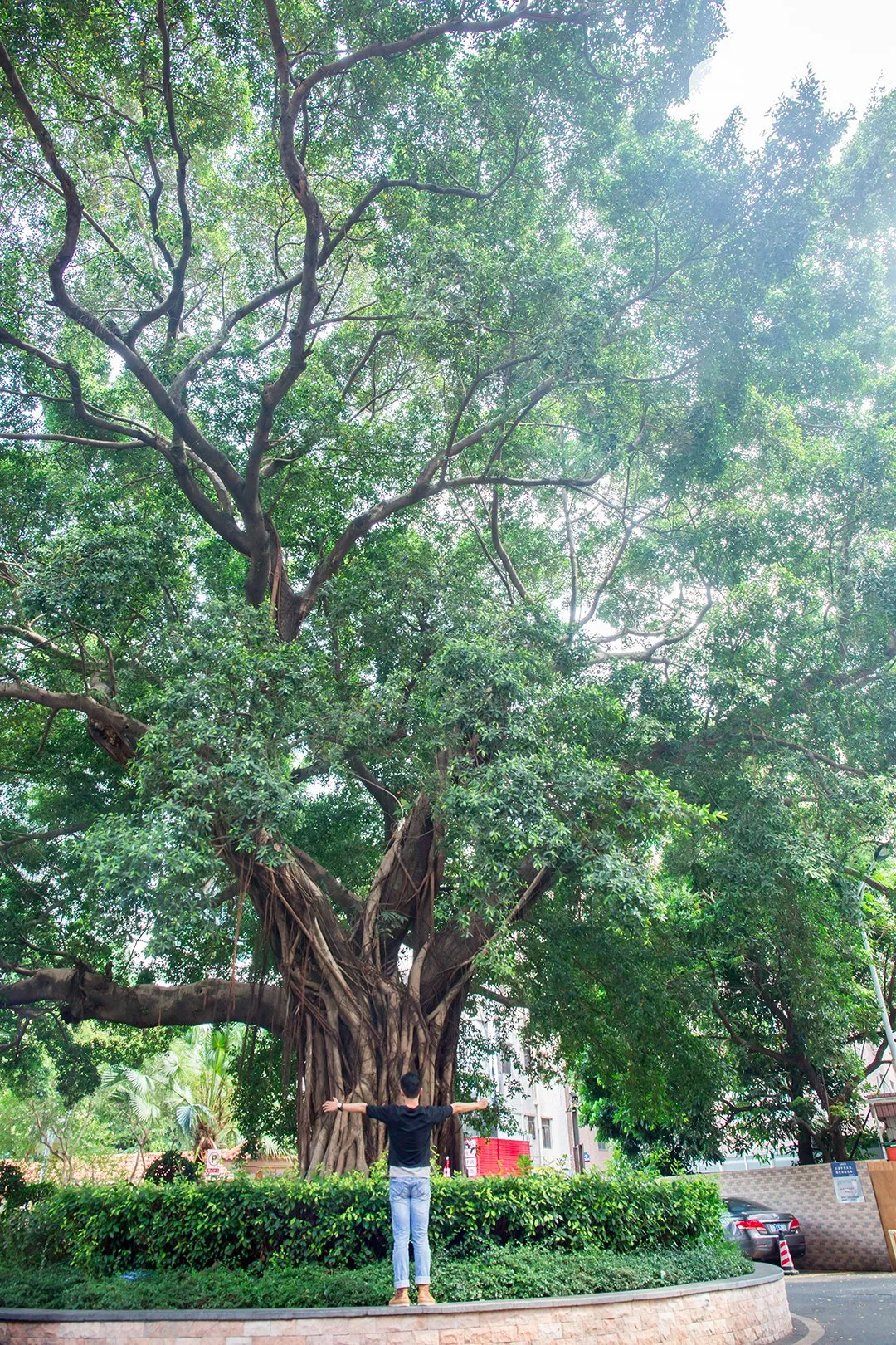 开学惹，深大第①份幸福觅食指南来了！