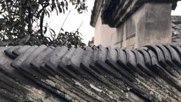 宁波老街坊,宁波市区老街