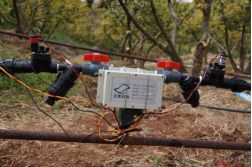 瑗挎簮姹囩殑鍒涗笟椤圭洰,瑗挎簮姹囧垱涓氬ソ椤圭洰