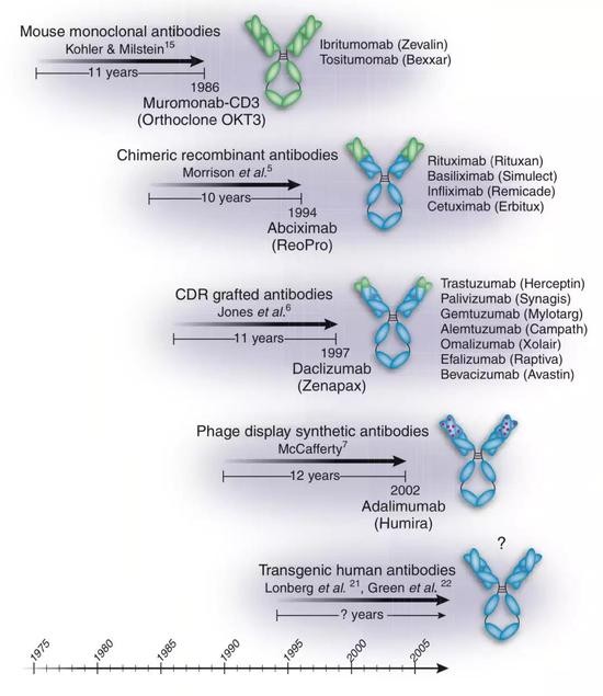 非小细胞肺癌一线推荐用药,非小细胞肺癌最新靶向药物