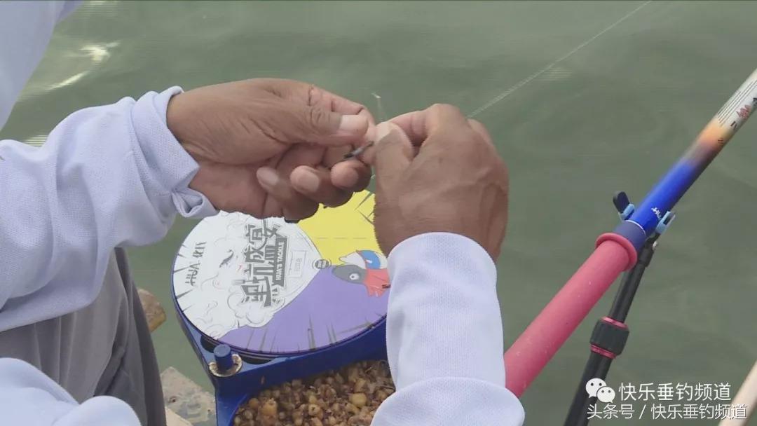 秋季水库夜钓草鱼怎样钓效果最好,秋季草鱼晚上钓底还是钓浮