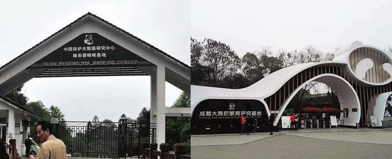 每一只可爱滚滚的背后,都有一群起名字不靠谱的人!