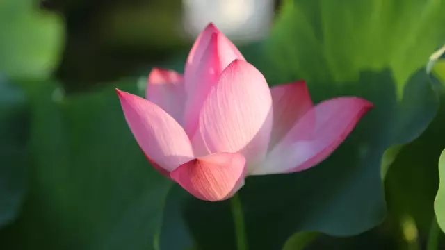 绵阳游玩攻略详细攻略,绵阳必去的十个地方