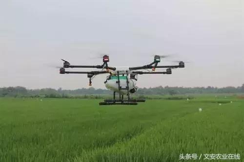 适合夫妻俩创业的项目,夫妻俩打工十年返乡创业年赚60万