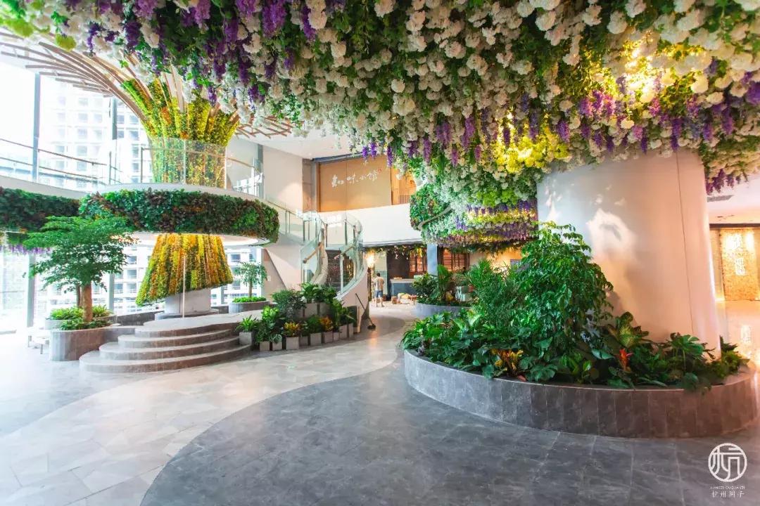 实拍大悦城！傲娇小公举“Molly”带你揭秘！