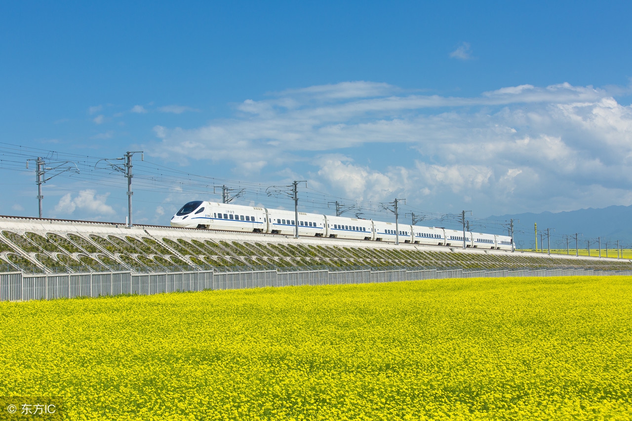 额济纳旗八天自驾游攻略,额济纳旗胡杨林6天三人游