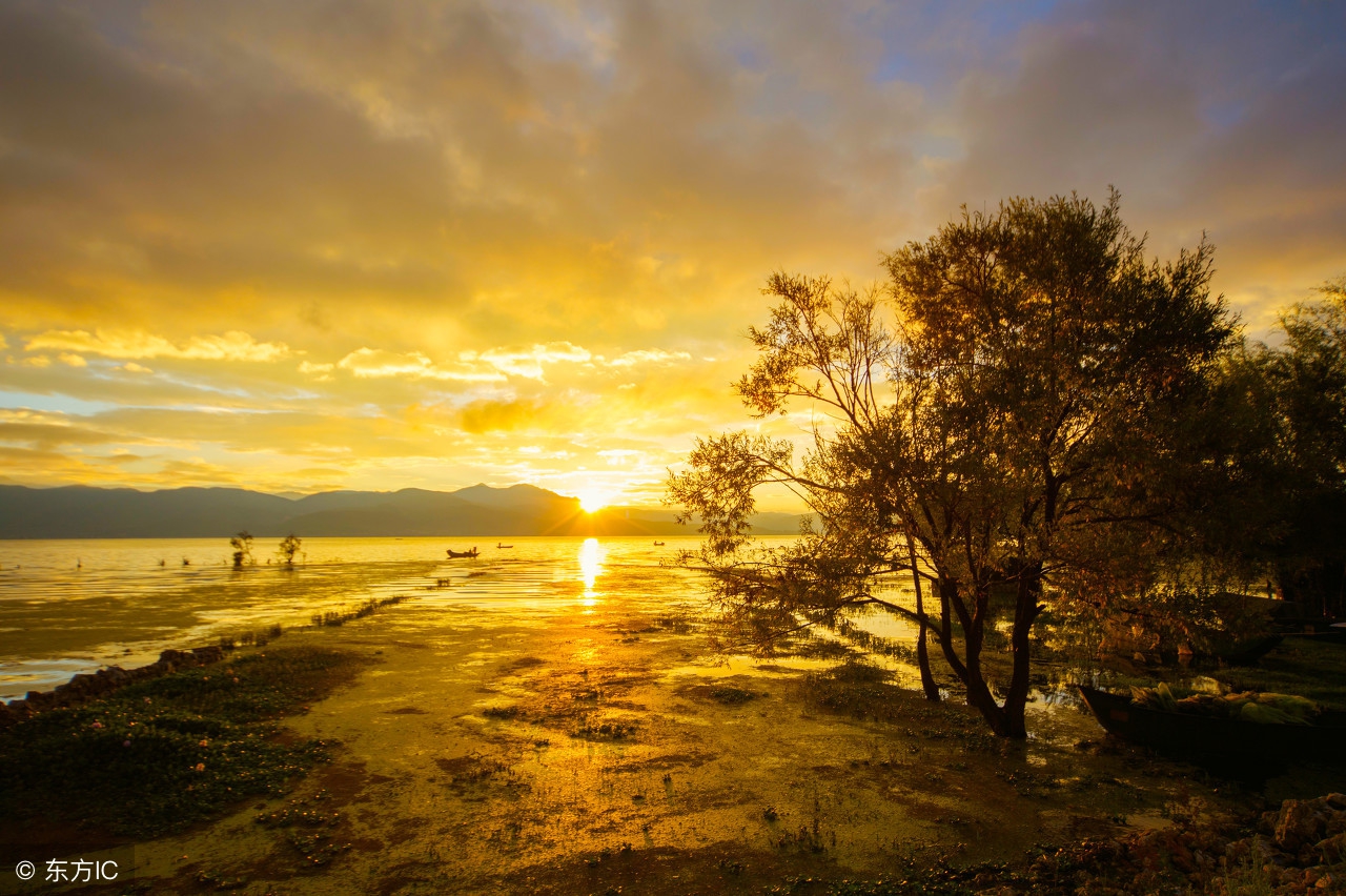 额济纳旗八天自驾游攻略,额济纳旗胡杨林6天三人游