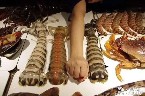 比手臂还大的皮皮虾吃起来超过瘾,比手臂还粗的皮皮虾你吃过了吗