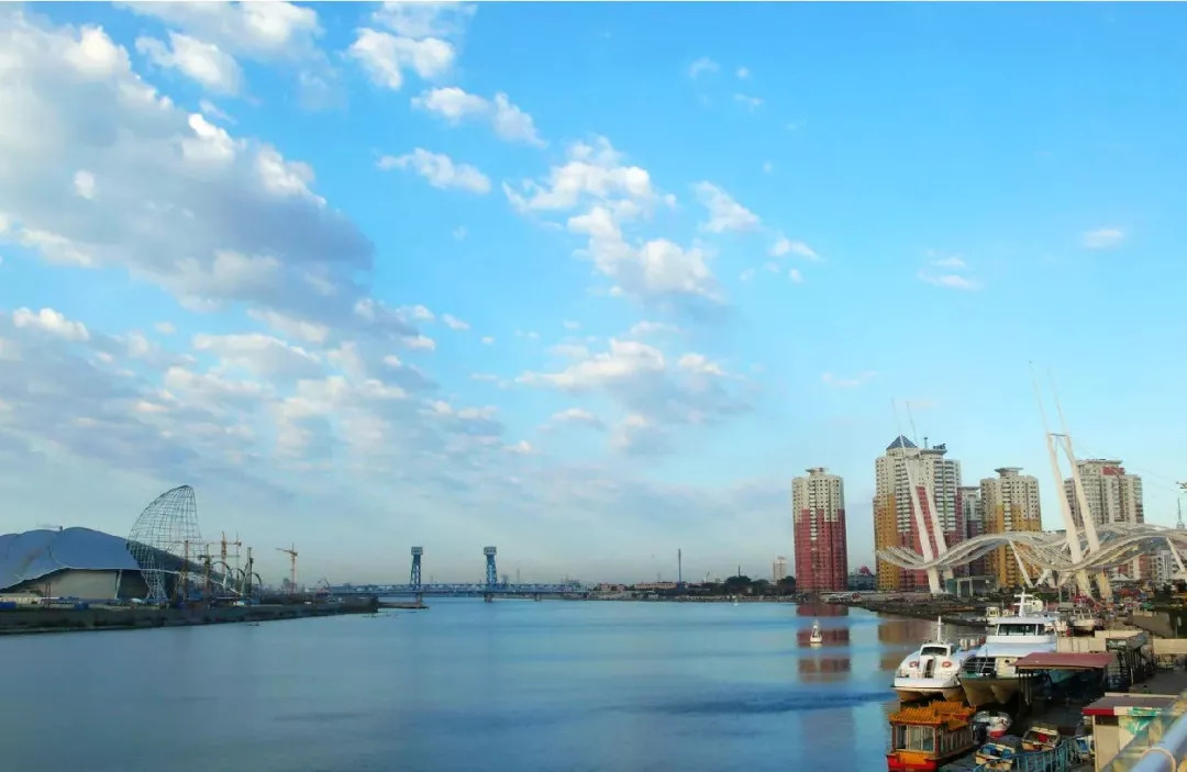 祝贺我市入选全国文明城市,武清区表彰先进个人和集体