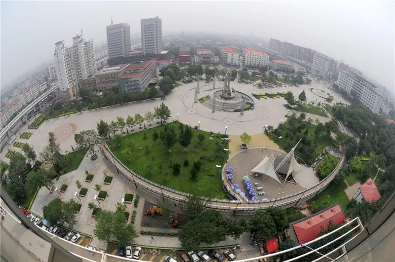 祝贺我市入选全国文明城市,武清区表彰先进个人和集体