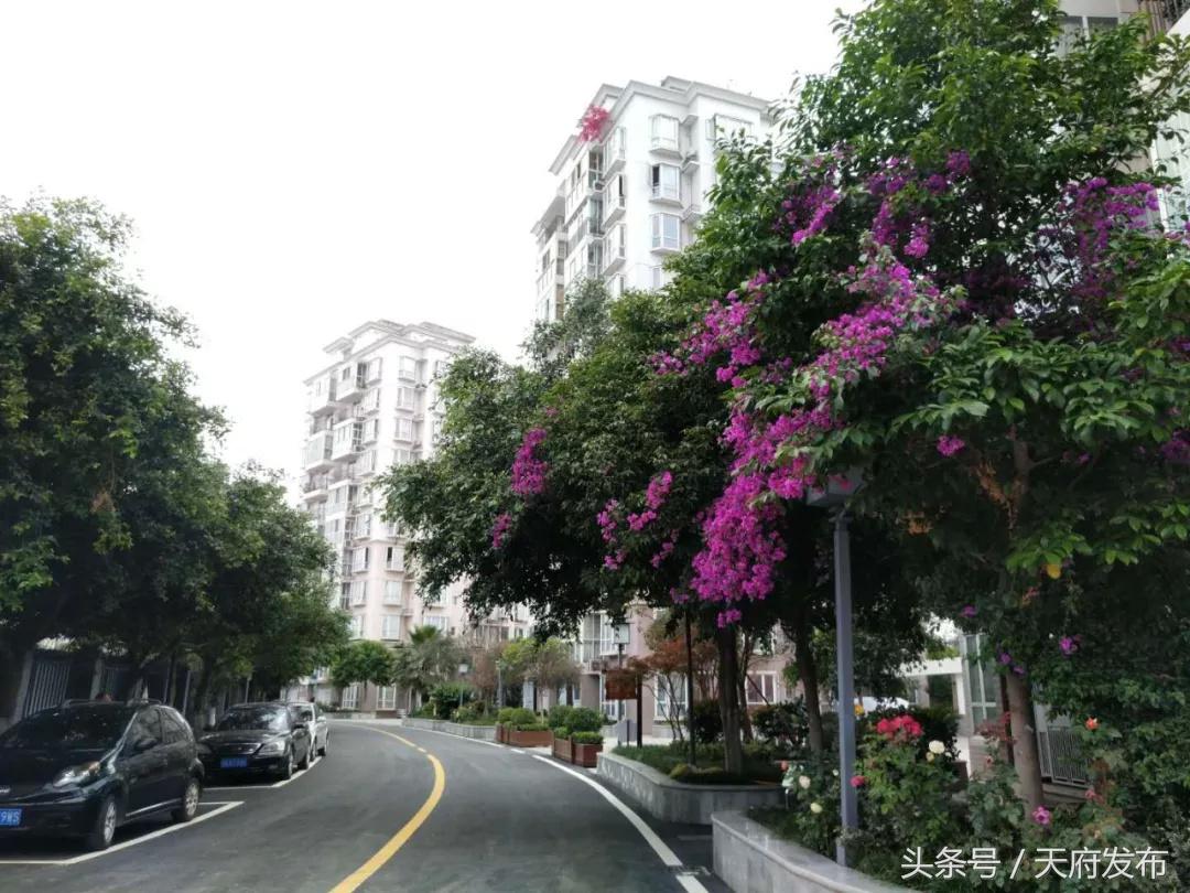 升级服务！万安街道创新探索社区治理新路径，提升居民幸福感