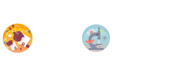 动物们生病怎么办,动物们怎么治疗自己的病