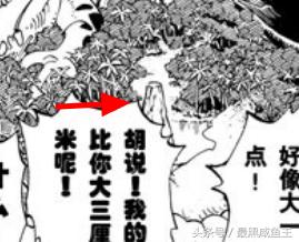 海贼王0-200剧情,海贼王的100个细节