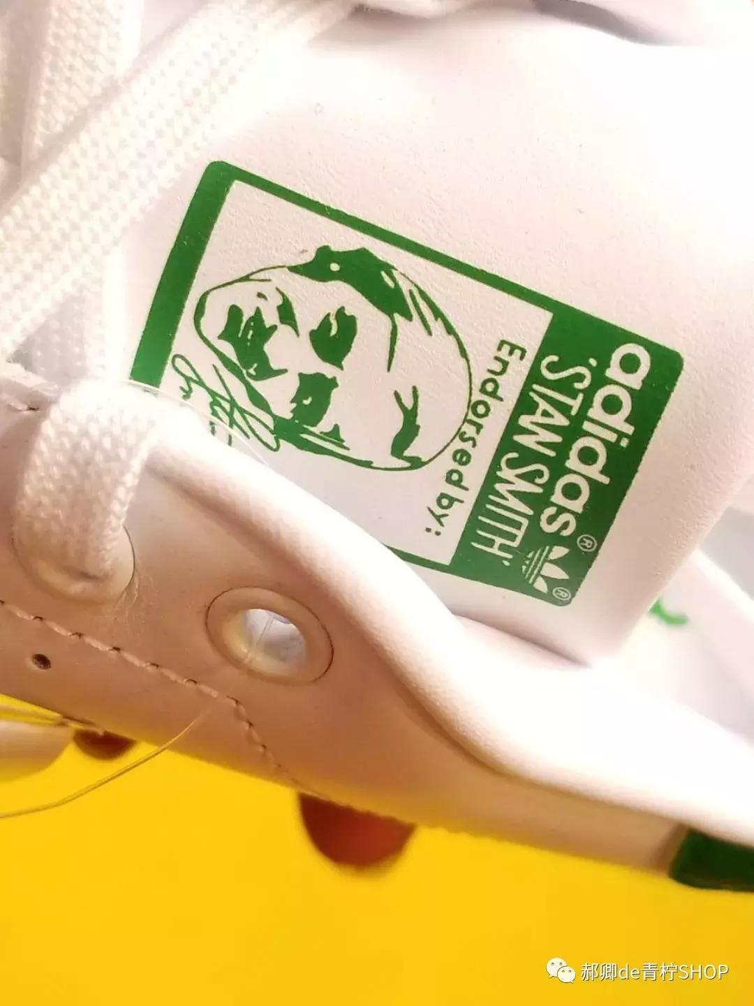 为什么绿尾少,绿尾是什么