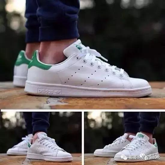 为什么绿尾少,绿尾是什么