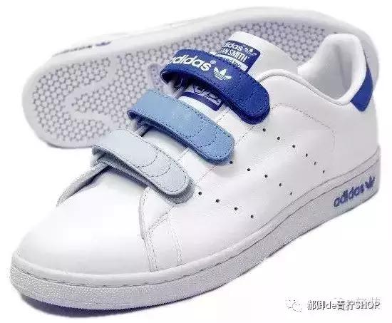 为什么绿尾少,绿尾是什么