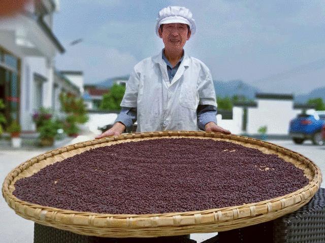 面部出油严重长痘,面部出油有痘痘不出汗