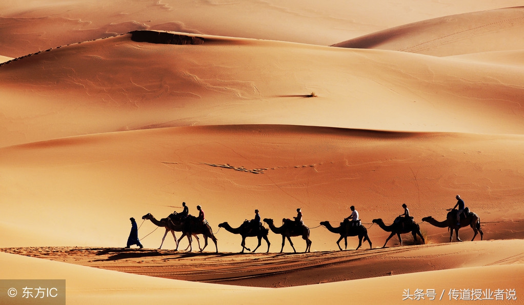 语文三年级上册作文所有单元范文,人教版三年级语文上册必背作文