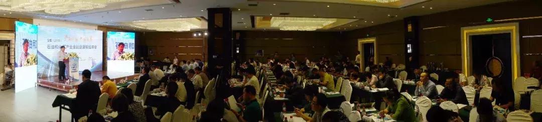 化工战略性基金,化工产业基金