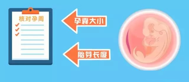 试管自然周期移植怎么计算孕周,hcg值对照表孕周怎么计算的