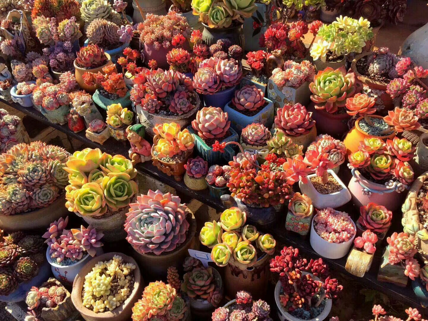 《慢生活·轻阅读》1356期