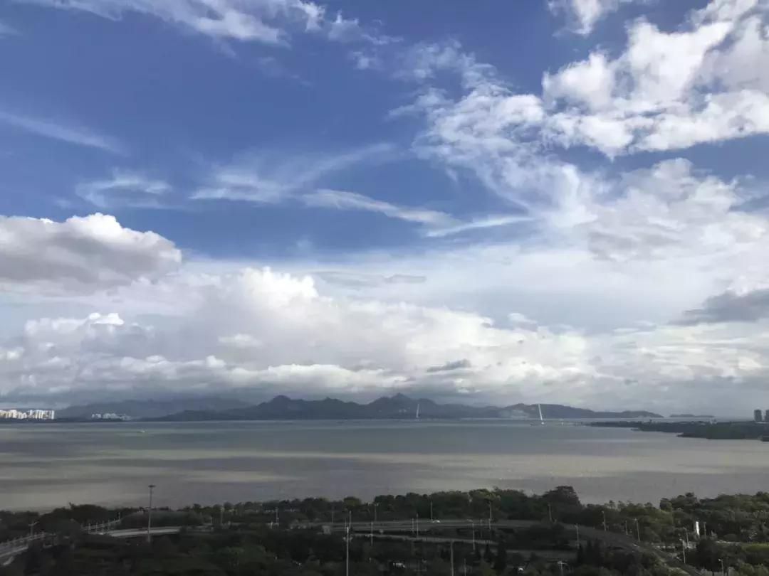 红树西岸位于红树湾商圈,红树湾红树西岸花园价格