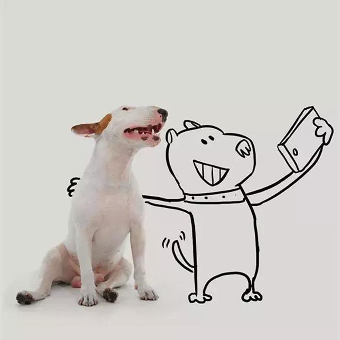 牛头梗的简笔画,牛头梗简笔画