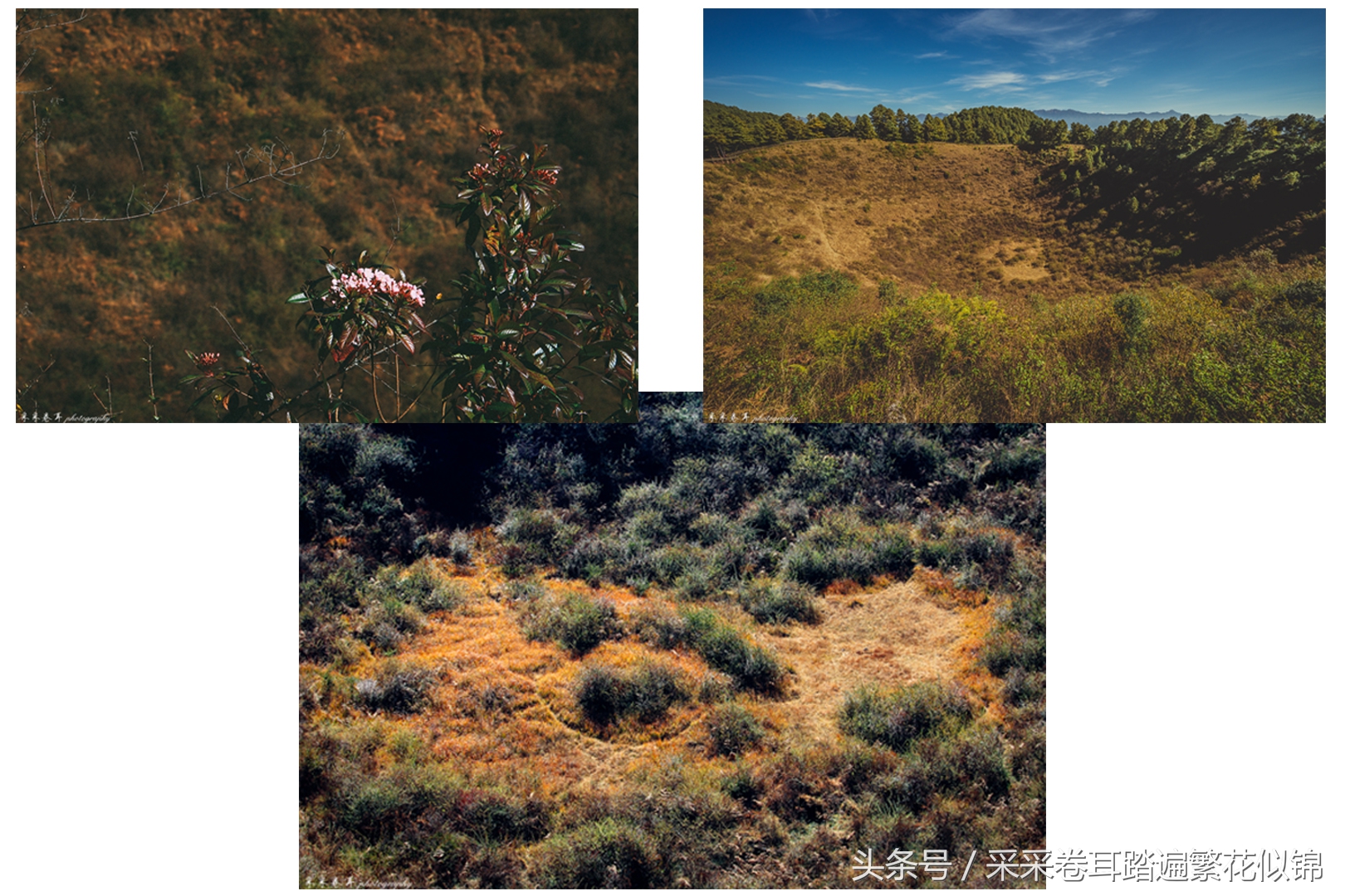 空山环葱郁日影幻太极神奇的大小空山之旅