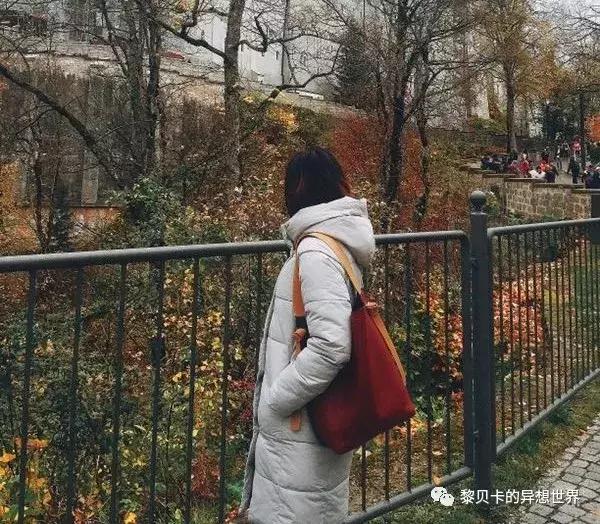 如果这辈子只能选3辆车你选哪3辆,假如这辈子只能买一只包