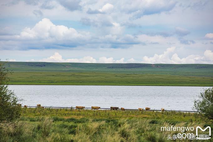 内蒙古赤峰达里湖旅游攻略,赤峰达里湖景区