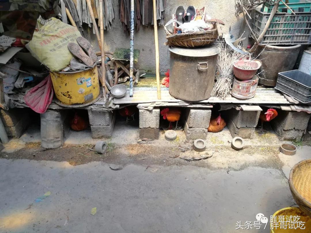 胖哥枣庄辣子鸡,邹坞辣子鸡试吃