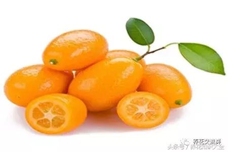 家中养什么花聚财旺家保平安,聚财旺家保平安