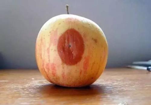 水果霉菌加热100度能杀死吗,如何杀掉水果表面霉菌