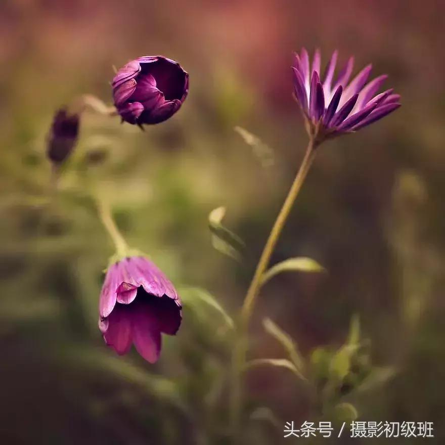 摄影小知识讲座,摄影小知识教学视频