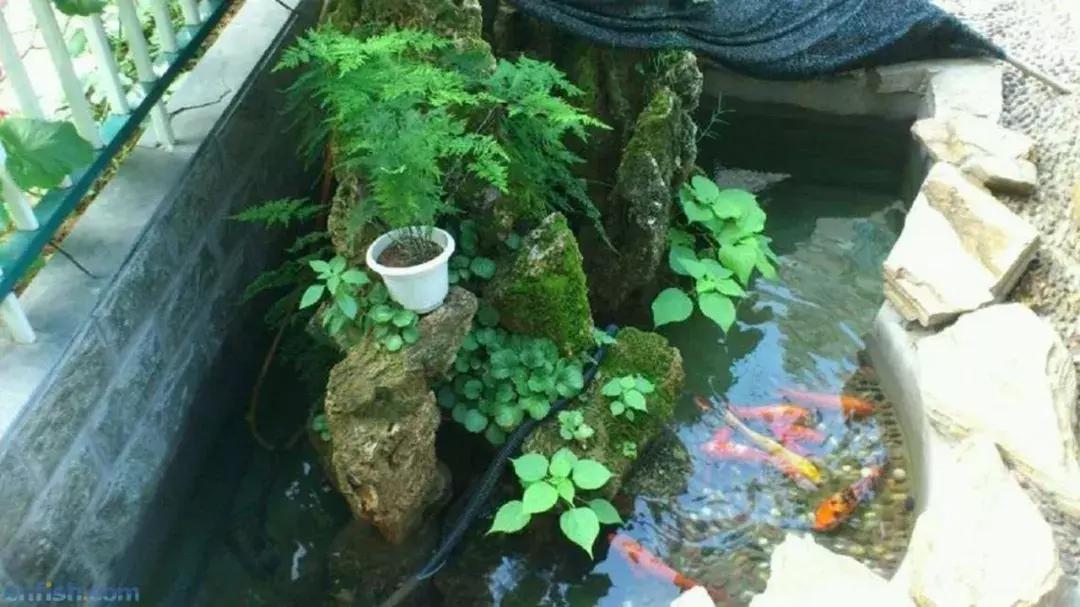 水至清则无鱼,水至清则无鱼人至察则无徒的意思