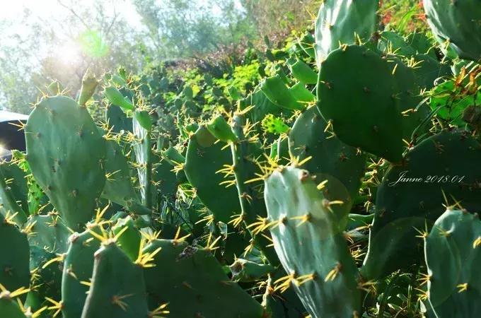 北海涠洲岛值得去的景点,涠洲岛天堂