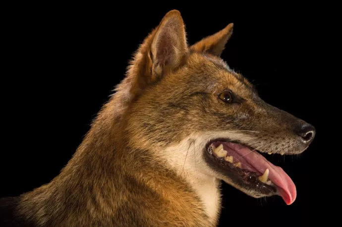 世界三大匪域,世界三大海盗国家