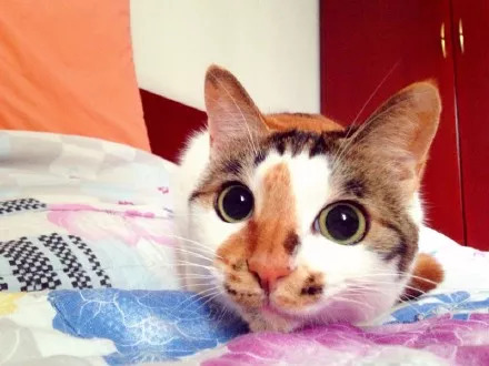 鏀朵簡鎴戠殑绀肩墿鐒跺悗鎶婃垜寰俊鎷夐粦,鏀朵簡鎴戠殑绀肩墿杩樻媺榛戞垜