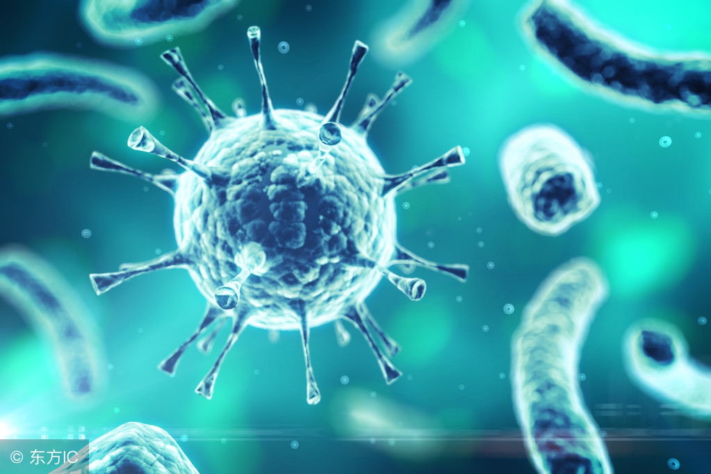 治疗脚气脚臭的有效方法小妙招,治脚气小妙招6种方法除脚臭