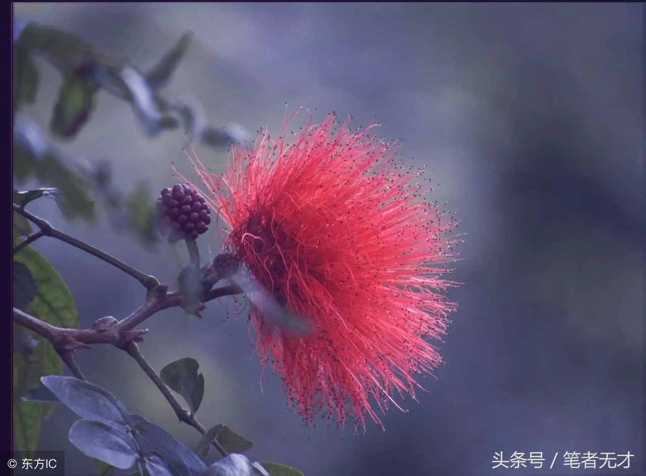 红颜远去唯留岁月浅唱,红颜易逝莫留岁月浅唱