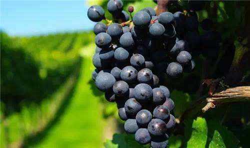 郑州曼哈顿哪个地方适合约会,秋天约会去郑州哪里比较好